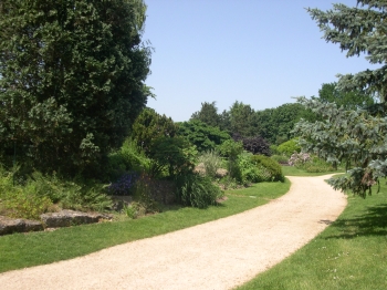 Poitiers, le parc de la roseraie
