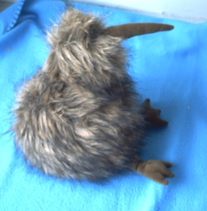 Le doudou kiwi