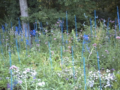 Le jardin n° 2 de Chaumont en 2009, variations sur le bleu