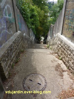 Poitiers, escaliers de la grotte des druides, 3, deuxième volée dans le sens descente