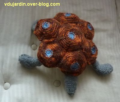 Une tortue au tricot : vue de dessus