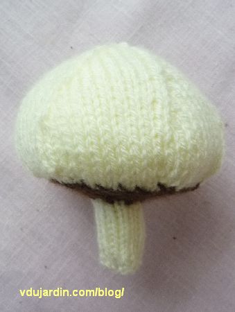 Un champignon au tricot