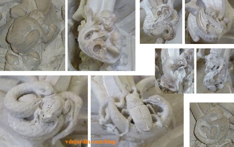 Amboise, chapelle Saint-Hubert, animaux cachés dans les feuillages sculptés