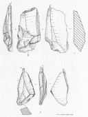 Figure 11 : Pièces du Raysse